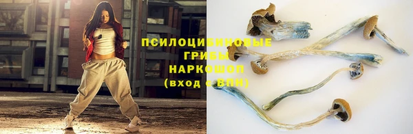 первитин Горняк