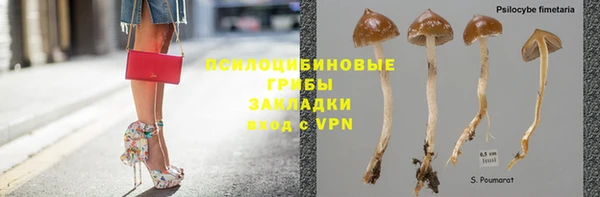 первитин Горняк