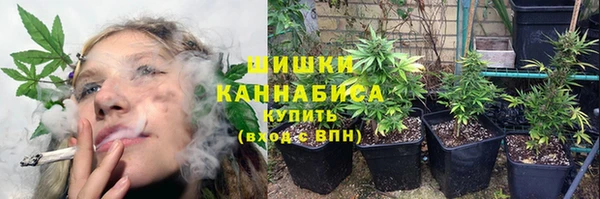 стаф Горнозаводск