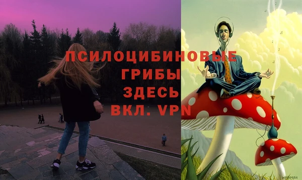 первитин Горняк